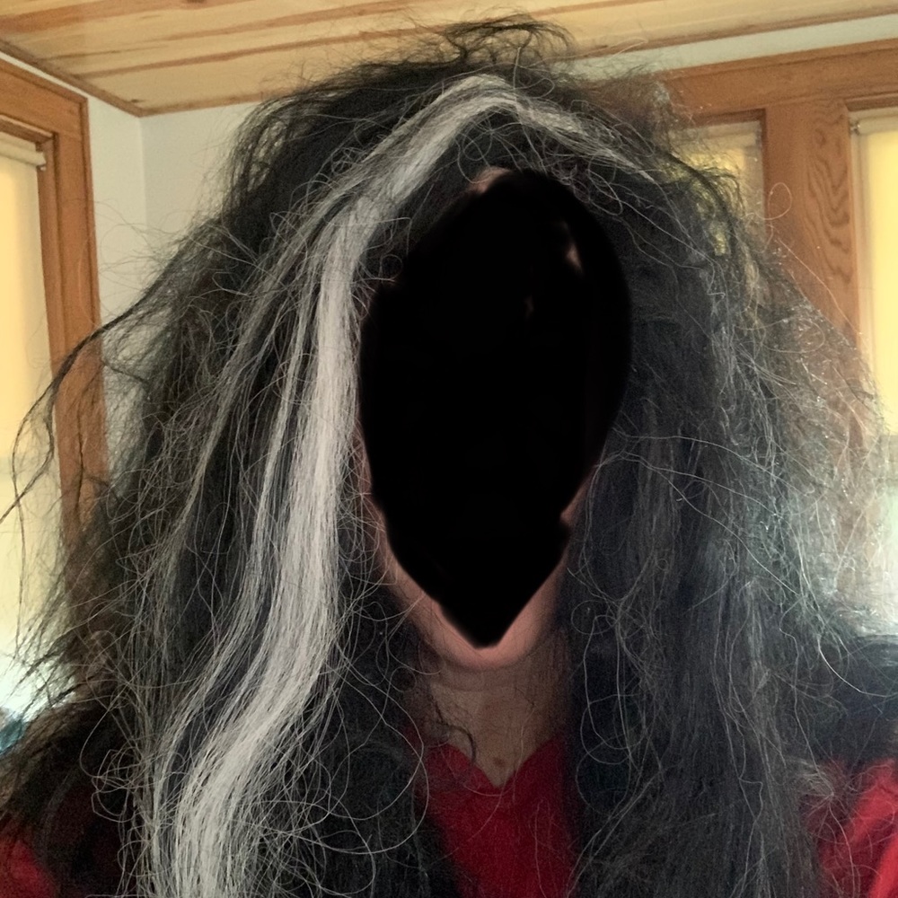 🎃Vintage 1996 Frizzy Halloween black/gray streaked synthetic wig🎃